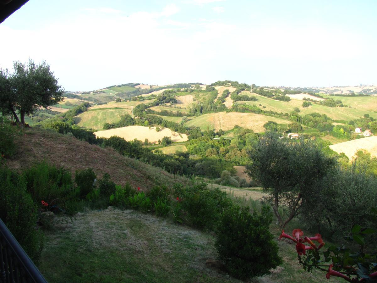 Agriturismo Bacchiocchi Bed & Breakfast Orciano di Pesaro Eksteriør bilde